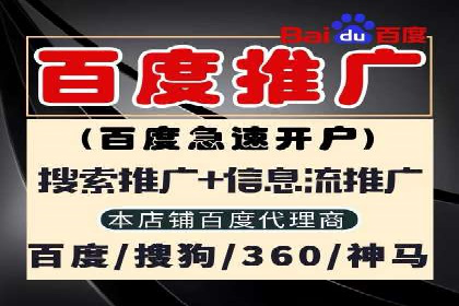 SEO与SEM融合策略：成功案例解析